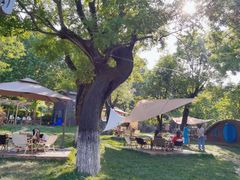 -Supine Bistro溯泮餐厅