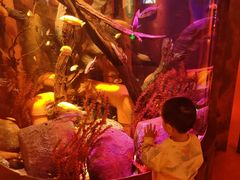 -沈阳海洋探索中心