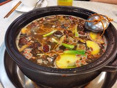 -蜀皇·菌汤鲜黄牛肉汤锅(宽窄巷子店)