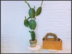 -野上麦田(中贸广场店)