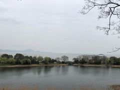 -上海市保健医疗中心(华东疗养院)