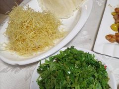 -丁老爷子苏香圆