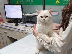 -半岛宠物医院24小时(科华中路店)