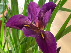 -合一茶坊(体育教育公寓B座店)