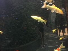 -弘安丽水温泉酒店