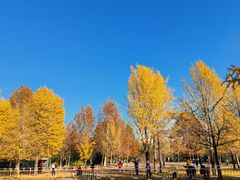 -北京奥林匹克公园