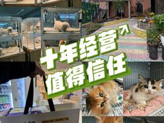 -翊宠yipet猫狗购宠庄园犬舍•猫舍