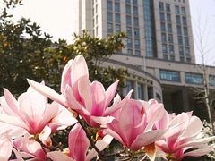 -江南大学(蠡湖校区)