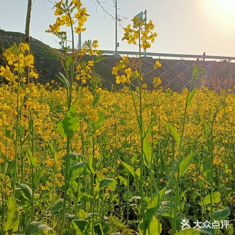 趁着蓝天去就对了