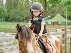 -前小桔亲子创意农场·草莓采摘·露营烧烤