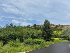 -红山国家森林公园