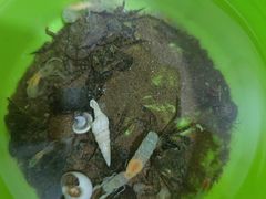 -东戴河风景区-止锚湾