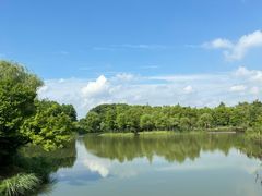 -梁鸿国家湿地公园