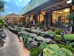 -山菌美食苑(振兴路店)