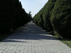 -秦始皇帝陵博物院-丽山园