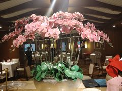 -金美华轩(东方路齐鲁店)