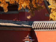-故宫博物院(故宫)