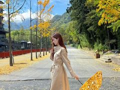 -洛阳白云山景区