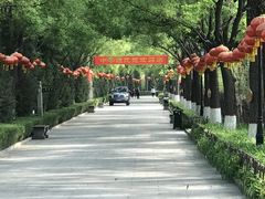 -大槐树寻根祭祖园