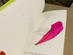 -百老汇电影中心(油麻地店)