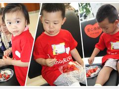 -兜莱·亲亲袋鼠国际早教