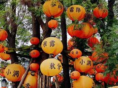 -白鹭湾湿地公园
