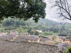 -杨家堂村