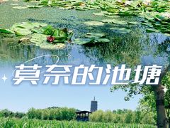 -永定河休闲森林公园