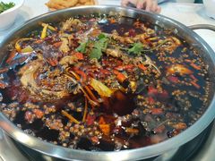 -麻辣巅峰美蛙鱼头火锅(犀浦店)