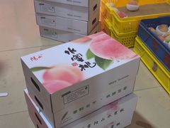 -老袁家蜜桃农场·阳山水蜜桃