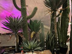 -HIHE Bistro·Oyster Bar(华熙live店)