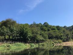 -三块石国家森林公园