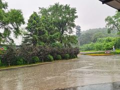 -沈阳森林动物园