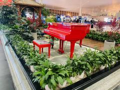 -温州龙湾国际机场-T2航站楼