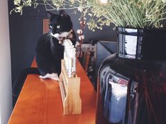 研途咖啡馆-研途咖啡馆(健康路店)