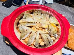 -1937青岛老味道·海肠捞饭·青岛菜(大鲍岛栈桥店)