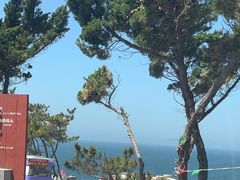 -养马岛旅游度假区
