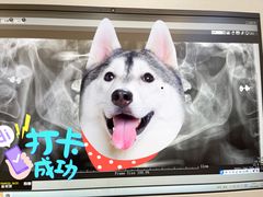 -牙博士口腔品牌连锁(杨浦店)