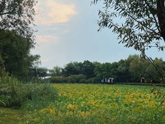 -西溪国家湿地公园