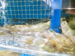 -蓝珊甄选海鲜自助·火锅大排档(近阿那亚店)