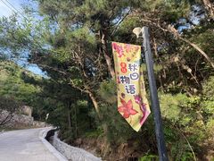 -云峰山自然风景区
