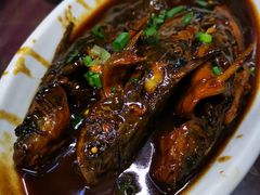 红烧昂子鱼-下塘街25号农家菜馆(新场店)