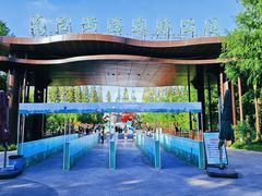 -黄海国家森林公园