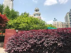 -星巴克(西藏路店)