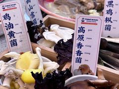 -阿婆情腊排骨火锅(金虹路店)