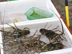 -八方海味餐厅