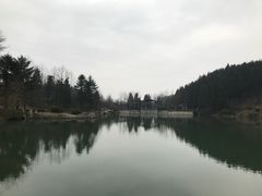 -四明山国家森林公园