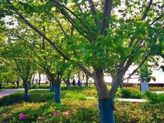 -幕燕滨江·长江观音景区