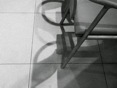 -柴务处·柴犬主题狗咖