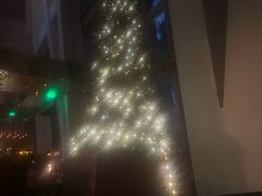 -上海柏悦酒店·世纪100牛排馆
